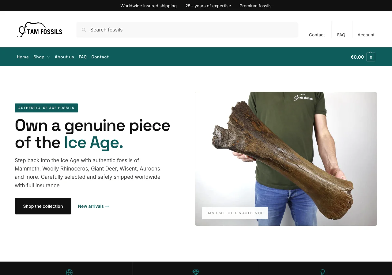 Website Tam Fossils