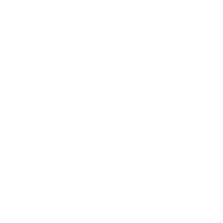 Loodz 15