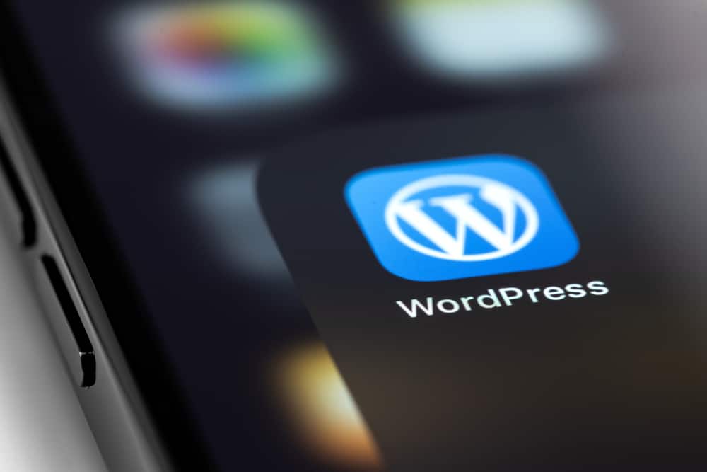 Laat je maatwerk website maken in WordPress, het populairste CMS ter wereld.